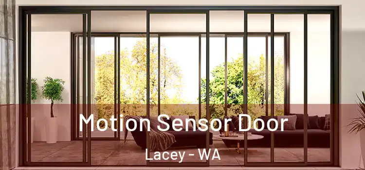 Motion Sensor Door Lacey - WA